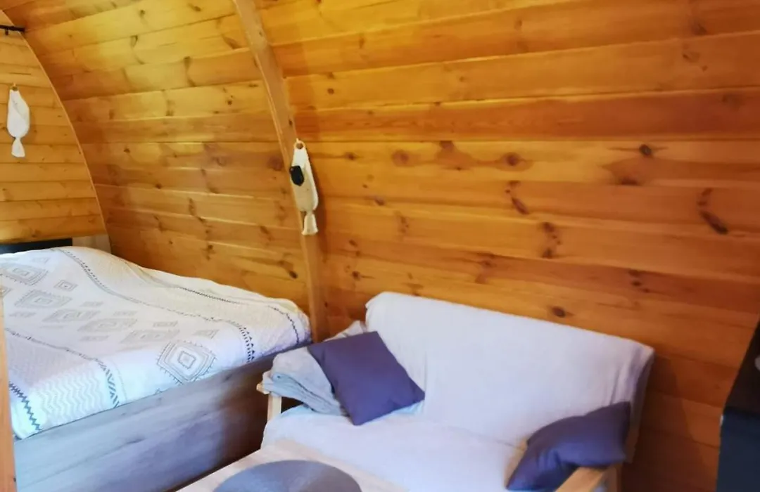 Ma cabane au fond du jardin-1