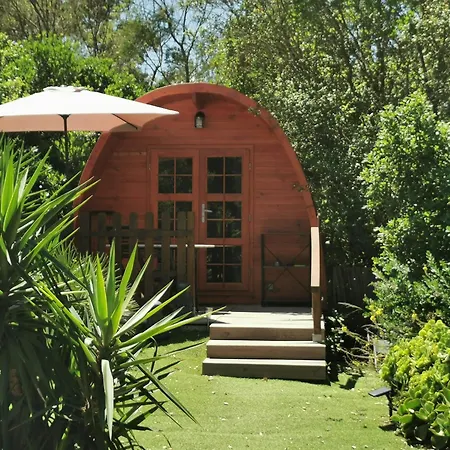 Ma cabane au fond du jardin-3